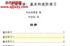 马哈希尊者著内观禅修基本和进阶练习电子书pdf百度网盘下载学习