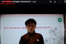 魏永勤祖传特色脉诊魏氏脉象气血诊断法视频课程11集百度网盘下载学习