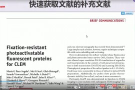 文献查找阅读管理全程指导视频课程20集百度云网盘下载学习