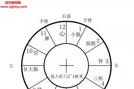 吴金乐根骶疗法视频课程合集肛疗痔疮教程百度云网盘下载学习