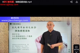 李建军朱氏精准脉诊学视频课程8集百度网盘下载学习