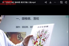 王栋铃医五绝视频课程32集百度网盘下载学习
