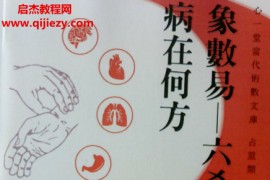 心一堂愚人著象数易六爻透视病在何方电子书pdf百度网盘下载学习