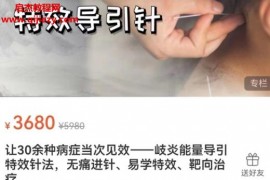 让30余种病症当次见效岐炎能量导引特效针法无痛进针易学特效靶向治疗视频课程27集百度网盘下载学习