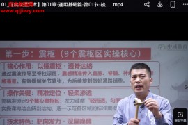 宋化轩震枢通元术线上课45集百度网盘下载学习