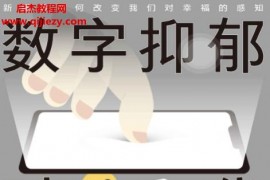 (德)萨拉迪芬巴赫著数字抑郁时代电子书pdfmobiepub格式百度网盘下载学习