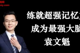 袁文魁练就超强记忆力,成为最强大脑音频课程课件17集百度云网盘下载学习