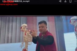 少医堂袁磊129项手法绝技视频课程129集百度网盘下载学习