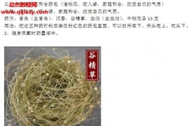 中药阵法中药运用合集29套中药化解中药加持课程百度网盘下载学习