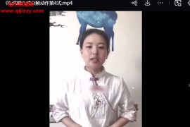 凌依宸茅山仙法洗髓八式视频课程9集百度网盘下载学习