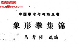 马青海著象形拳集锦电子书pdf百度网盘下载学习