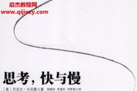 (美)卡尼曼著思考快与慢电子书pdf百度网盘下载学习