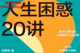 迟毓凯著人生困惑20讲电子书pdfmobiepub格式百度网盘下载学习