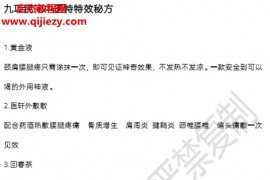 云南新九项高价民间中医特特效秘方电子版pdf百度网盘下载学习
