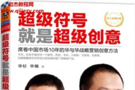 华杉华楠著超级符号就是超级创意电子书pdf百度网盘下载学习