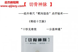 “切骨神脉”手法绝技(一本电子书14个小视频)百度网盘下载学习