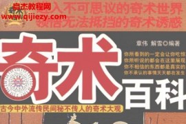 章伟解雪编著奇术百科电子书pdf百度网盘下载学习