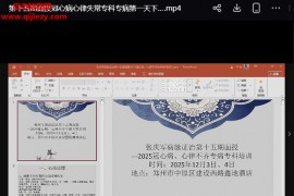 张庆军第十五期面授班冠心病心率失常专科专病2天线下视频课程4集百度网盘下载学习