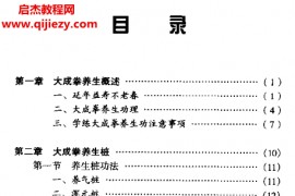 李照山著大成拳养生真传电子书pdf百度网盘下载学习