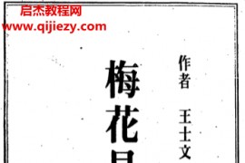 王士文著梅花易数解析电子书pdf百度网盘下载学习