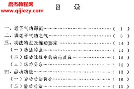 孔庆连著老子气功电子书pdf百度网盘下载学习