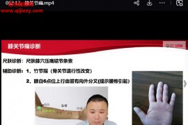 尺肤通脉法诊断+治疗实战精讲超好用简单易学视频课程65集百度网盘下载学习