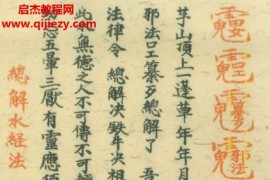 道教符咒法本先天传度诸将符秘真形符电子版pdf百度网盘下载学习
