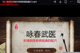 由清风咏春五行气道术视频课程22集百度网盘下载学习