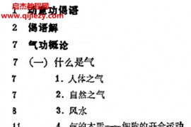 郭志辰著动意功必读电子书pdf百度网盘下载学习