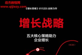 李云龙曾楠著增长战略电子书pdfmobiepub格式百度网盘下载学习