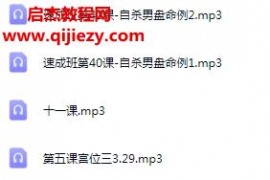 云中清(云中子)紫微斗数入门课程音频13集+河洛速成班41集百度网盘下载学习