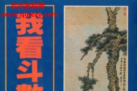 蓝神著我看斗数的心得电子书pdf百度网盘下载学习