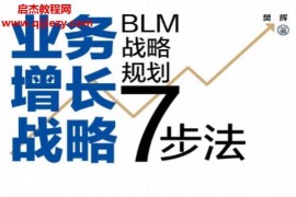 樊辉著业务增长战略电子书pdfmobiepub格式百度网盘下载学习