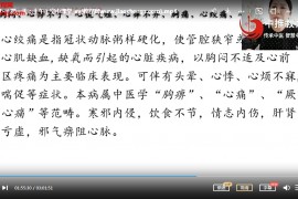 空中课堂李红定位截根全息挑治羊毛疔3天视频课程百度网盘下载学习