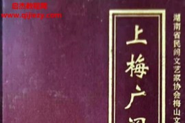 秦国荣著上梅广阐宫傩事电子书pdf百度网盘下载学习