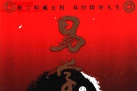 张开新著易学与人生成败电子书pdf百度网盘下载学习