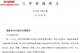 孙海义八字实战讲义文字资料doc格式百度网盘下载学习