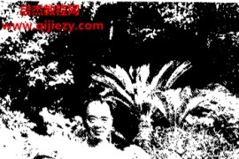 王安平著修真心语电子书pdf百度网盘下载学习