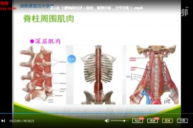 新乡医学院第三临床学院康复医学教研室杨纯生下腰痛诊断与康复视频课程6集百度云网盘下载学习