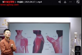 李泽波松筋活骨视频课程29集百度网盘下载学习