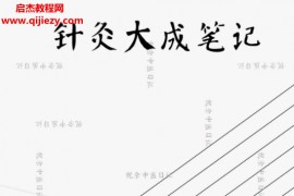 祝余根据倪海厦视频整理针灸大成笔记电子版pdf百度网盘下载学习