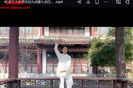 沅芷太极缠丝练气修真秘术视频课程43集百度网盘下载学习