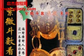 谢天诠著紫微斗数看偏财横财运程电子书pdf百度网盘下载学习