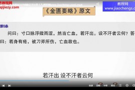 肖相如老师讲金匮要略视频课程34集百度网盘下载学习