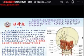 王少华针刀医学在颈椎病临床应用专科解剖颈椎专题视频课程13集百度网盘下载学习