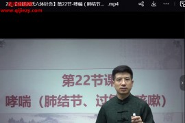 周磊非遗周氏六体针灸线上课+线下课合集百度网盘下载学习