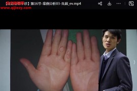 朱超生命全息手诊3套基础进阶班视频课程34集百度网盘下载学习
