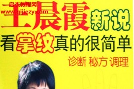 王晨霞新说看掌纹真的很简单诊断秘方调理电子书pdf百度网盘下载学习