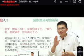 王海宽一气解伤寒视频课程39集百度网盘下载学习