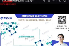 杨帆腰椎疼痛康复诊疗教学标准化评估工具案例实践12讲百度网盘下载学习